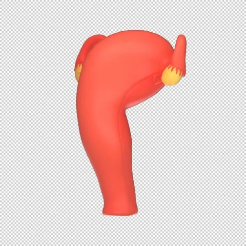 3D Human Uterus Rotation Loop - Medical Animation 1080x1080 스톡 동영상 312772265