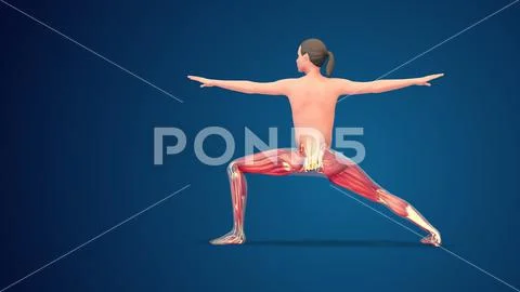Tummee.com - It's Friday Flow Time!! Learn to teach Dancing Warrior Extended  Side Angle Pose Arms Flow at https://www.tummee.com/yoga-poses/dancing- warrior-extended-side-angle-pose-arms-flow Level: Beginner Position:  Standing Type: Side-Bend, Back-Bend ...