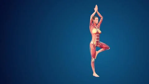 3D human Vrikshasana tree pose with arms elevated yoga pose on blue background イラスト素材