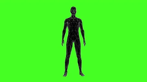 3D Human Wireframe Rotating in the Middle with Green Screen Background 4k Stock Footage 144205189
