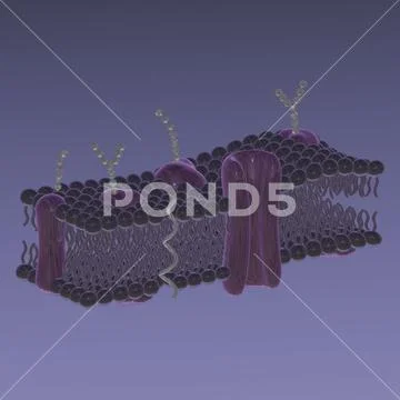 3d icon of cytoplasmic membrane illustration PSD Template