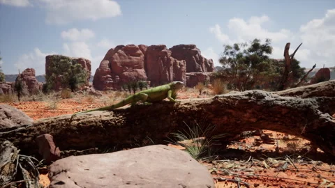 3D Iguana Walking in the Desert 4K Stock Footage 279093308