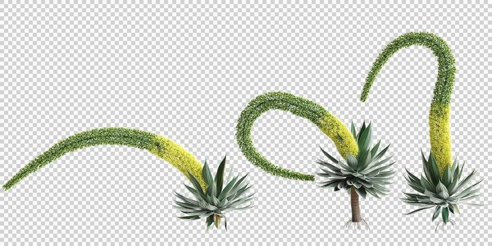 3d illustration, 3d rendering, background, ball like, beaucarnea, beautiful, bei Stock Illustration