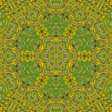 3d illustration. Abstract image of meadow flowers Stock Illustration