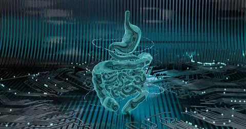 3D illustration of an abstract low-poly frame of the digestive system with n Stock Illustration