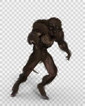 3D illustration of an aggressive looking werewolf walking isolated on white. Stock Illustration