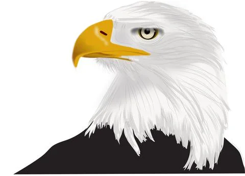 3d illustration and rendering of bald eagle Stock Illustration