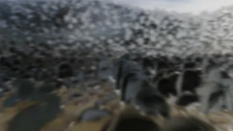 3d illustration of an approaching tsunami Stock Footage 262130801