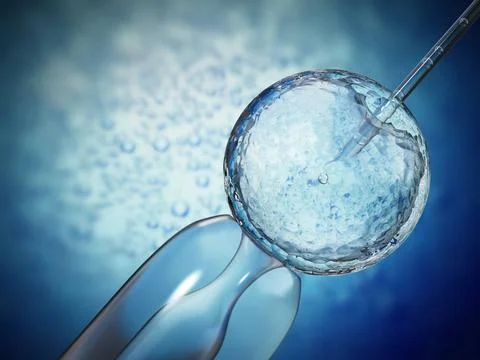 3D illustration of artificial insemination process showings sperms being i... Stock Photos