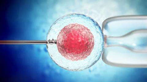 3D illustration of artificial insemination process showings sperms being i... Stock Photos