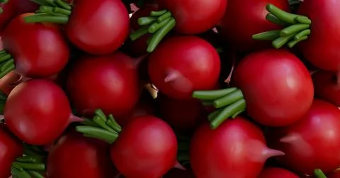 3D illustration a background of fresh red radishes filling the entire screen Stock Illustration