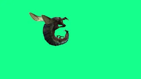 3d illustration - Bee Wasp Flies and attack on Green Background Illustrazione stock