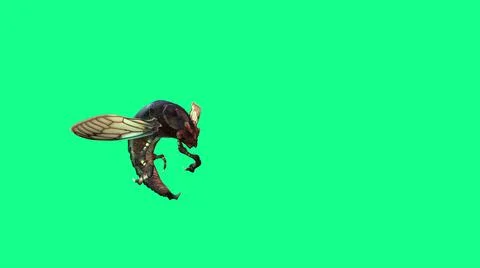 3d illustration - Bee Wasp Flies and attack on Green Background Illustrazione stock