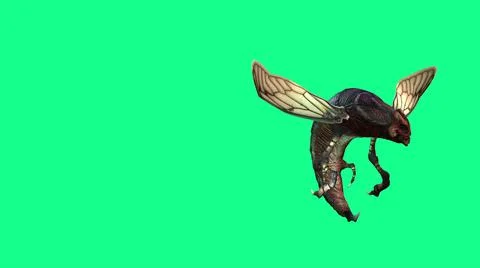 3d illustration - Bee Wasp Flies and attack on Green Background Illustrazione stock