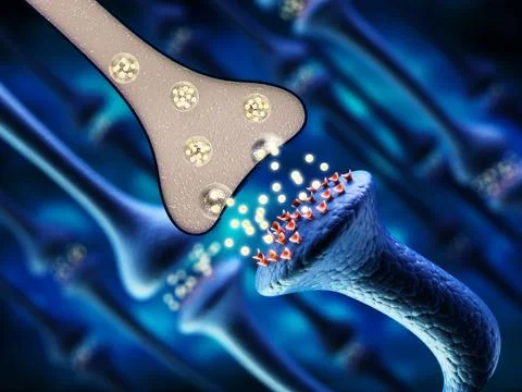 3D illustration of brain neurons. 3D illustration 库存插图