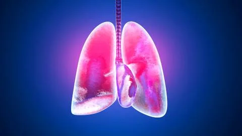3D illustration of the breathing process of human lungs Stock Illustration