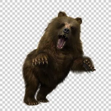 3D illustration of a brown bear in attacking pose isolated on transparent bac Stock Illustration
