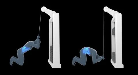 3D Illustration Of Cable Crunch Workout Ilustración de archivo