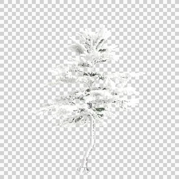 3d illustration of Cedrus libani snow covered tree isolated on transparent backg Stock Illustration