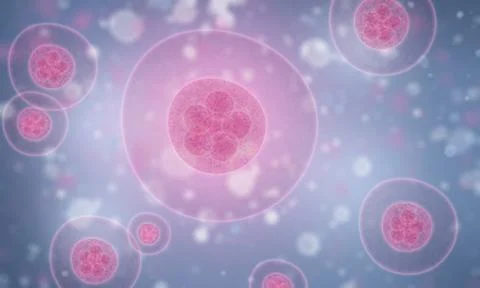 3D illustration of Cells under a microscope concept for Cellular Therapy and Stock Illustration