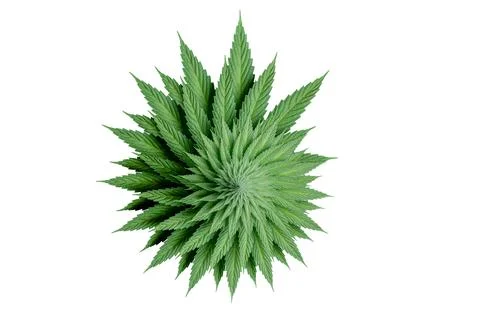 3d illustration of circular spiralic pattern made of Cannabis leaf Stock Illustration