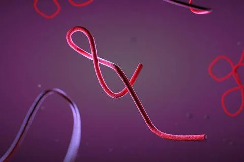 3d illustration, close up of microscope Ebola Virus 3d illustration, close... Stock Photos