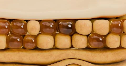3D illustration of a close-up structure at the cellular tissue level Stock Illustration