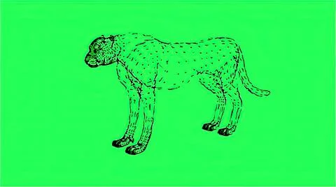 3d illustration in comic style - wireframe  Leopard  isolated on green screen Stock Illustration