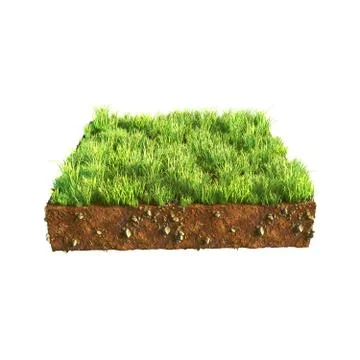 3d illustration of cross section of ground with grass isolated on white Stock Illustration