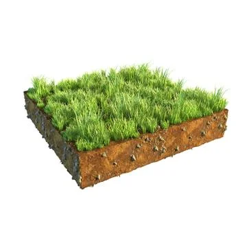 3d illustration of cross section of ground with grass isolated on white Stock Illustration