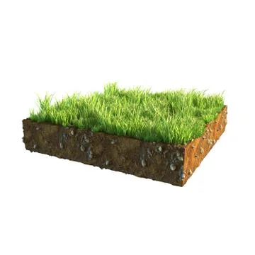 3d illustration of cross section of ground with grass isolated on white Stock Illustration
