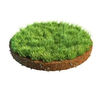 3d illustration of cross section of ground with grass isolated on white Stock Illustration