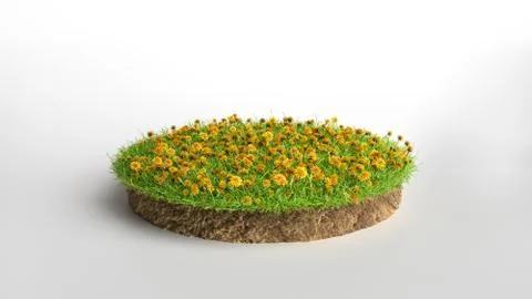 3d illustration of cross section of ground with grass and flowers isolated on 스톡 일러스트