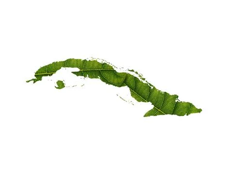 3D illustration of Cuba map made of green leaf on white background - concept of Stock Illustration
