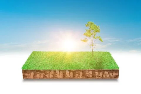 3d illustration of cubical soil slice, green grass with trees floating over s 库存插图