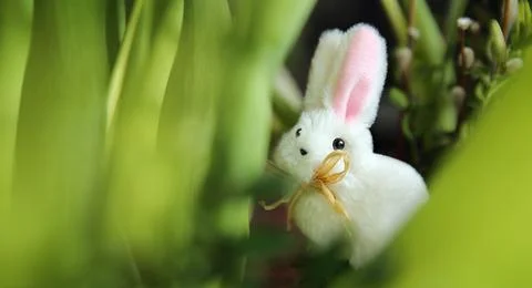 3D illustration of a cute white easter bunny surrounded by grass Stock Photos