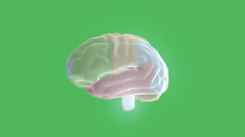 3d illustration of digital human brain on green background. Stock Illustration