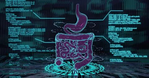 3D illustration of  digital internal organs of the digestive system with neo Stock Illustration