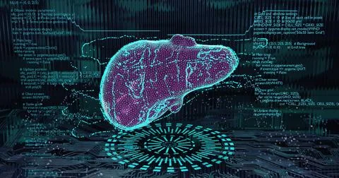 3D illustration  digital liver    sci-fi digital grid design Illustration