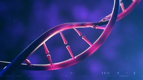 3d illustration of DNA molecule. Closeup of concept human genome 库存插图