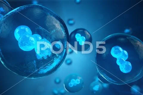 3D illustration Early stage embryo, Stem cell research, Morula. Human ...