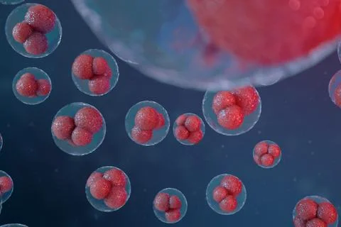 3D illustration egg cells embryo. Embryo cells with red nucleuses in center Stock Illustration