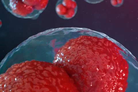 3D illustration egg cells embryo. Embryo cells with red nucleuses in center Stock Illustration