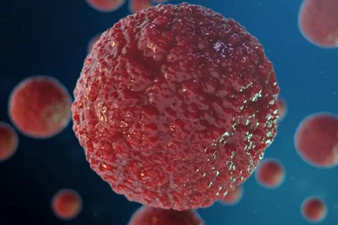 3D illustration egg cells embryo. Embryo cells with red nucleus in center. Human Stock Illustration
