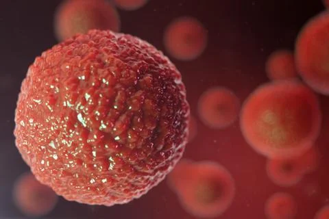 3D illustration egg cells embryo. Embryo cells with red nucleus in center. Human Stock Illustration