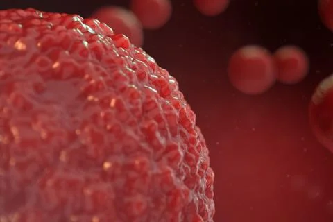 3D illustration egg cells embryo. Embryo cells with red nucleus in center. Human Stock Illustration