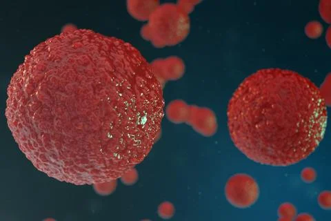 3D illustration egg cells embryo. Embryo cells with red nucleus in center. Human Stock Illustration