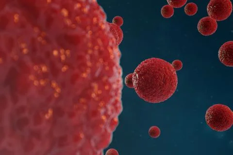 3D illustration egg cells embryo. Embryo cells with red nucleus in center. Human Stock Illustration
