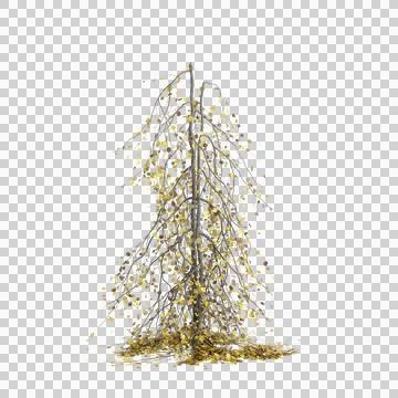3d illustration of Fagus sylvatica tree isolated on transparent background Stock Illustration