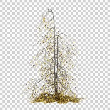 3d illustration of Fagus sylvatica tree isolated on transparent background Stock Illustration